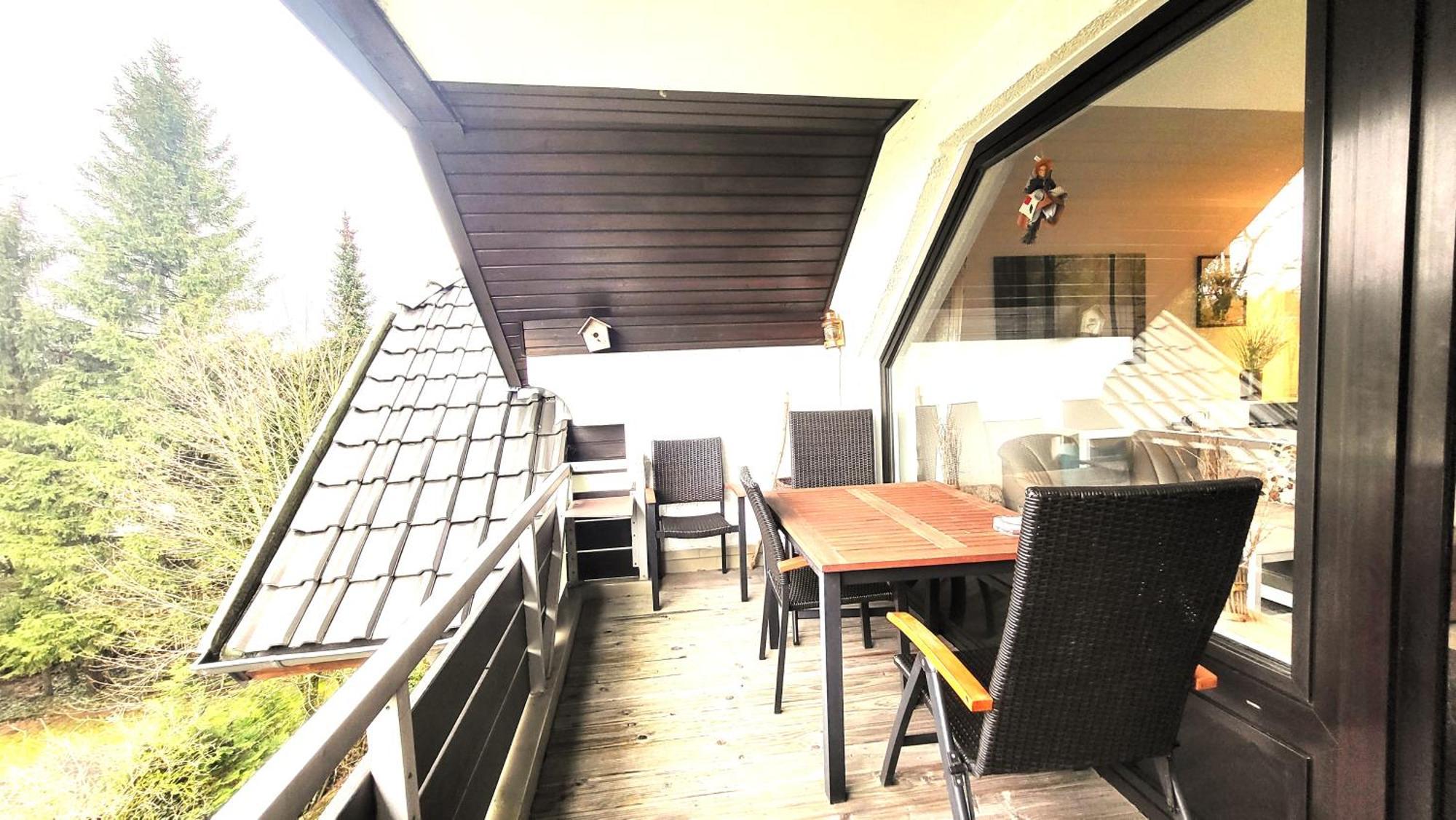Bocksberg Hexe Hahnenklee Apartment